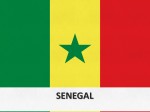 10106-senegal-flag-template-1