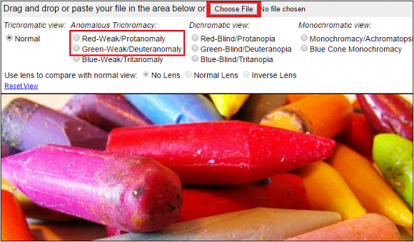 Color Deficiency - 580x Online Tool - Coblis color blindness simulator - FreePowerPointTemplates