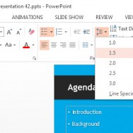 Formatting Paragraphs in PowerPoint 2013 3