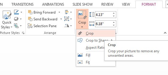 Formatting Pictures in PowerPoint 2013 1
