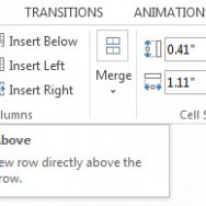 Insert or Delete Rows and Columns in PowerPoint 2013 1