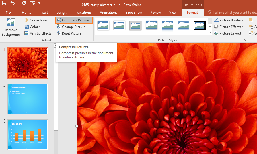How To Use Photographs In PowerPoint 2016 - Free PowerPoint Templates