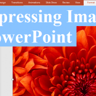 Preparing Images - Featured - FreePowerPointTemplates
